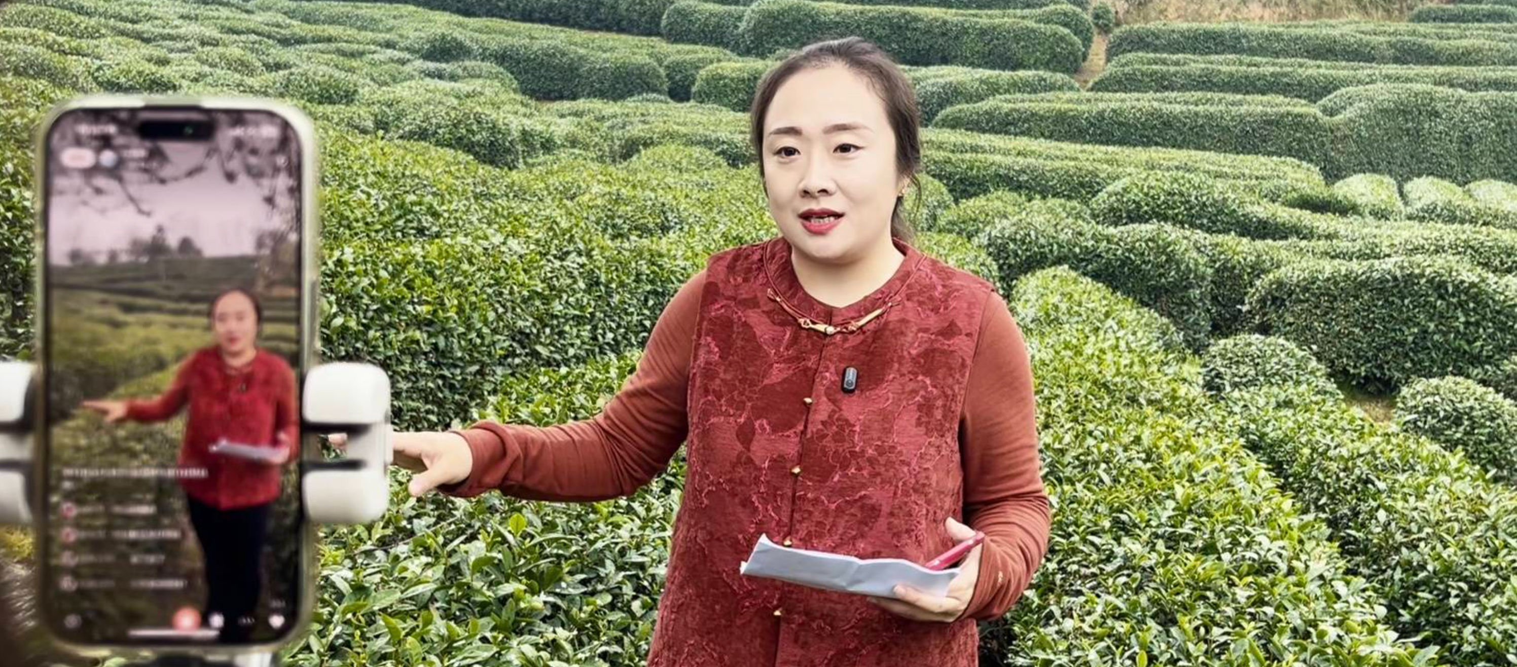 抢抓湖北千亿茶工业新机缘 抖圈·(中国)人生就是搏!竞逐茶叶赛道