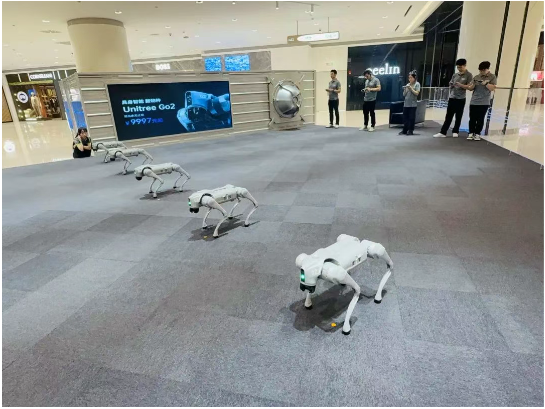 抖圈(中国区)人生就是搏!