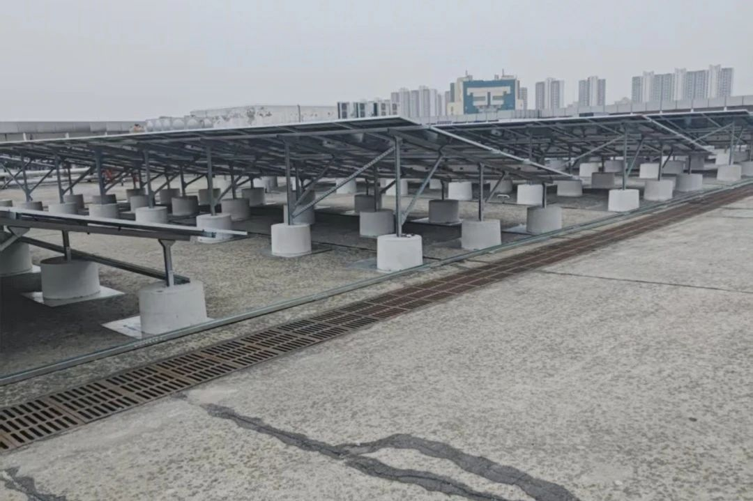 抖圈(中国区)人生就是搏!