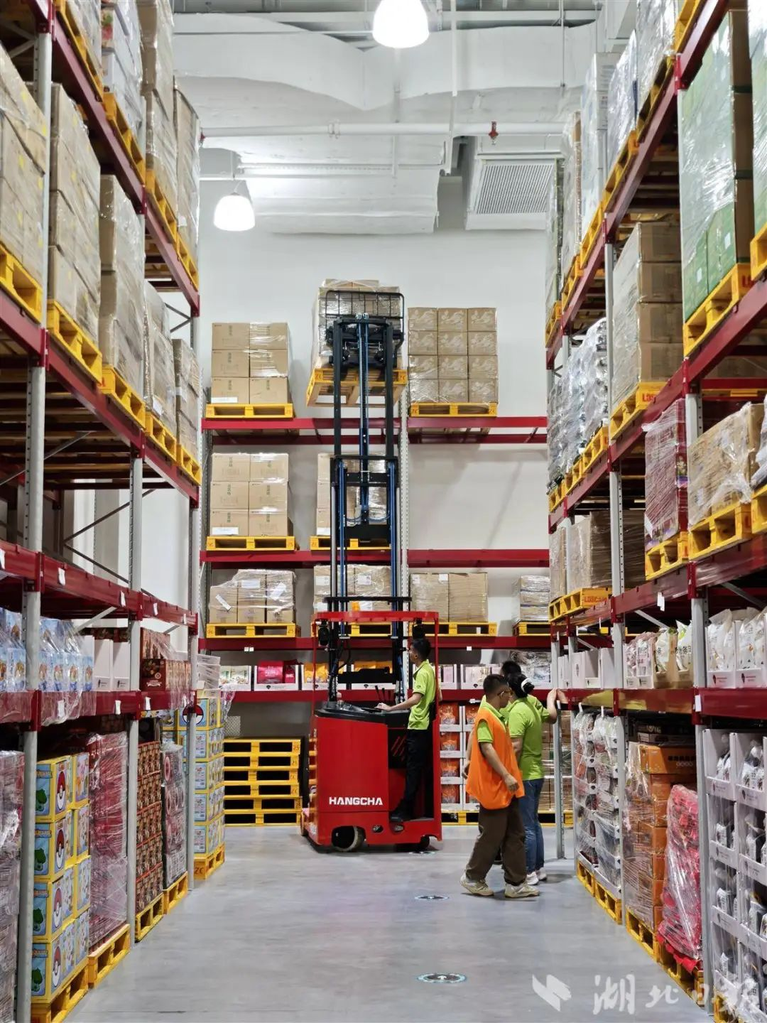 抖圈(中国区)人生就是搏!