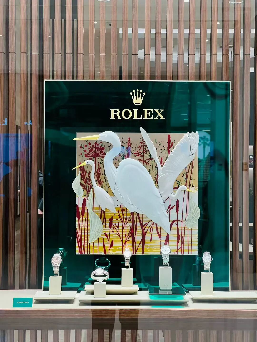 抖圈(中国区)人生就是搏!