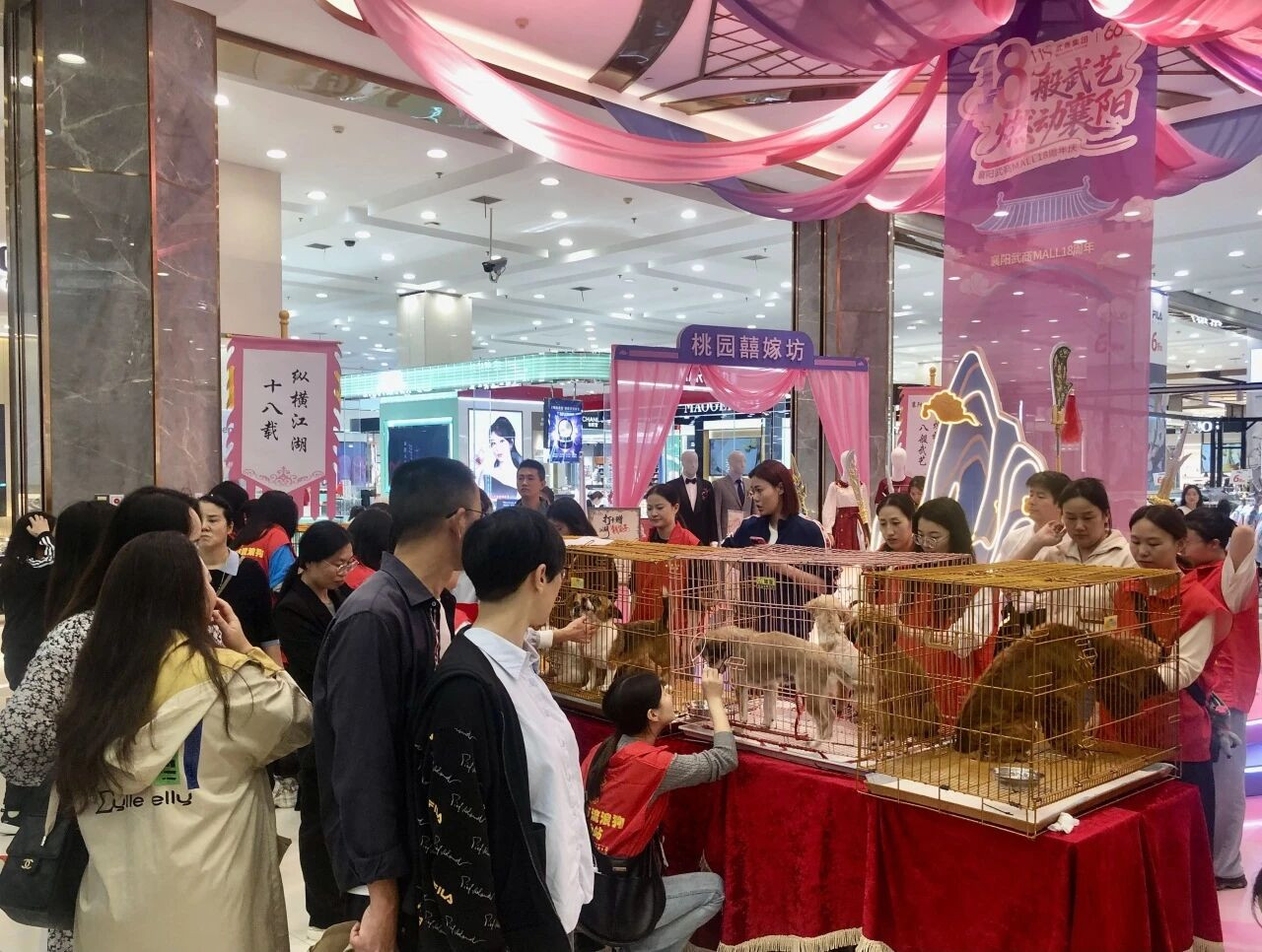 抖圈(中国区)人生就是搏!